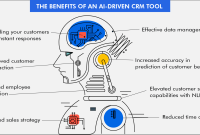 Data ai crm